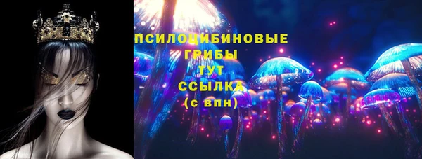стаф Алзамай