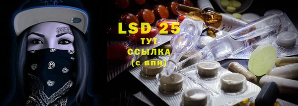 стаф Алзамай
