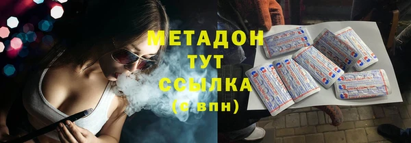 стаф Алзамай