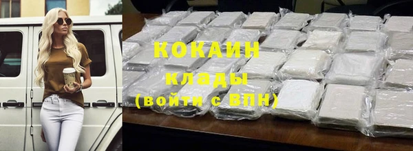 стаф Алзамай