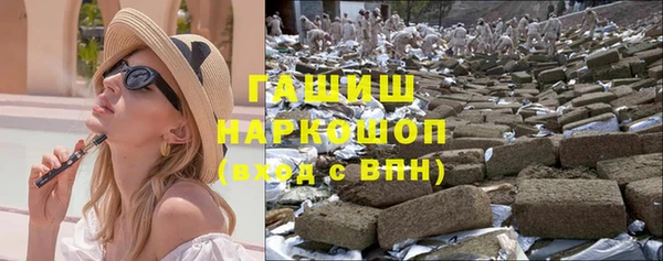 стаф Алзамай