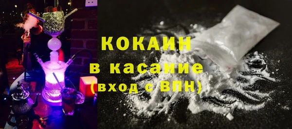 стаф Алзамай