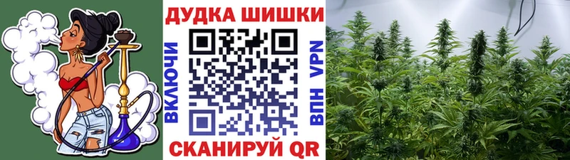 Шишки марихуана White Widow  что такое   Кировград 